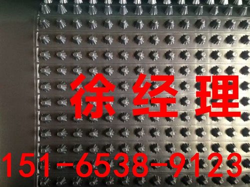 山东20厚蓄排水板，为您保驾起航&nbsp;&nbsp;山东20厚排水