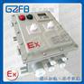 BXK-T 户外防爆温控仪表箱 带防雨罩 IP65 谷子防爆
