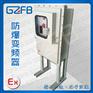 立式防爆变频器箱 BQXB-7.5KW 散热片 谷子防爆