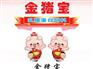 金典饲料优惠的金典金猪宝饲料供应|供应金典金猪宝