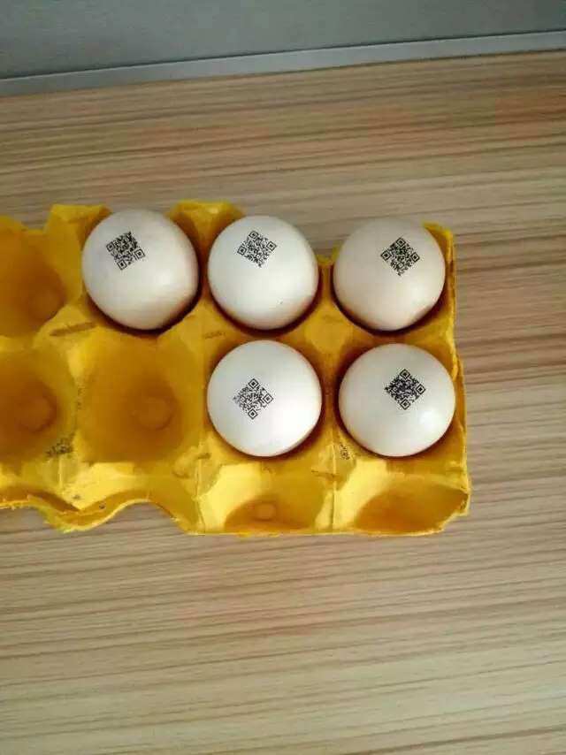 湖南UV可變數(shù)據(jù)噴碼機(jī)、UV二維碼噴碼機(jī)