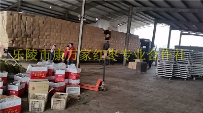 袋装批发新疆大枣厂家直销  新疆大枣批发价格  新疆大枣供应商  和田大枣加工厂家