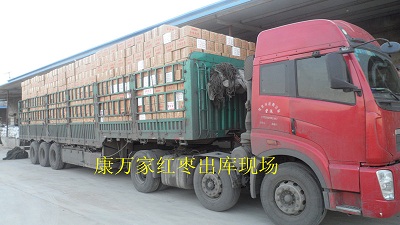 山东大枣产地厂家  山东大枣供应商  山东大枣价格  金丝小枣代购