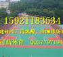 启东室外\硅pu篮球场施工公司欢迎您