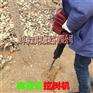 起苗机图片 新款大铲头起树机 硬土质移树机
