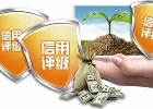 LED光电企业申办AAA级诚信经营示范单位证书