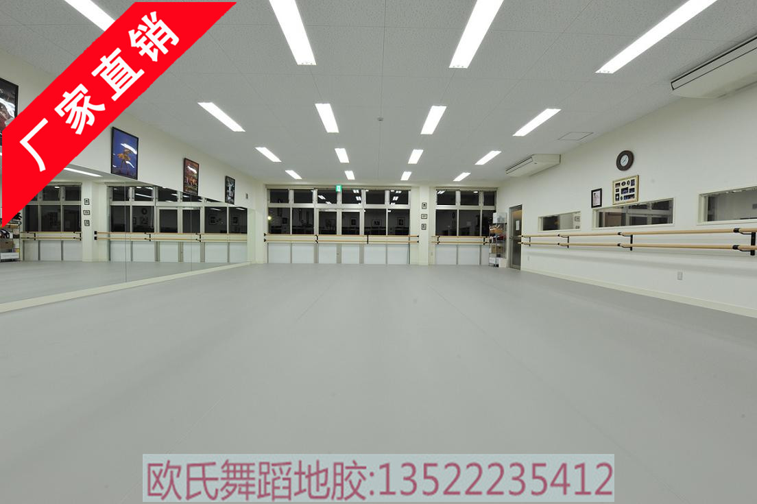 供应欧氏舞蹈教室地胶,舞蹈教室专用地胶,舞蹈地胶