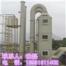 岳阳净化塔 活性炭吸附塔 活性炭吸附装置