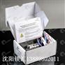 Perkin Elmer氘灯 2280/2380/4000