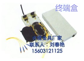 24芯用ADSS终端盒多少钱&nbsp;&nbsp;光缆终端盒型号&nbsp;&nbsp;光缆终端盒现货&nbsp;&nbsp;光缆终端盒材质