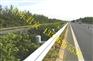 供应山东淄博市公路波形梁护栏板--高速护栏厂家
