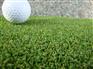 高尔夫果岭草坪 人工草坪人造草施工 运动场人造草皮CPG-1