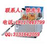 上海电炸炉_上海电炸炉厂家