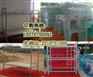 来宾员工铁架床批发价格,来宾市双层铁架床批量供应