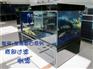 济南水草缸专业养护