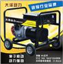 8KW两用汽油发电电焊机