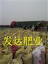 石家庄干鸡粪价格