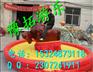 河南斗牛机生产厂家