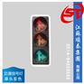 人行道信号灯|智能LED交通信号灯|圆形交通信号灯