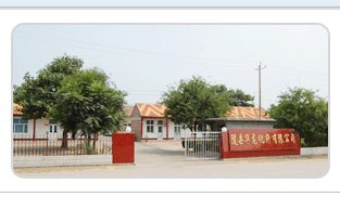 陵县华龙化纤有限公司