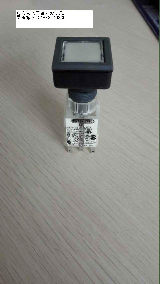 湖南机车项目专用产品RJRTTFL德国时力高&nbsp;&nbsp;机车产品