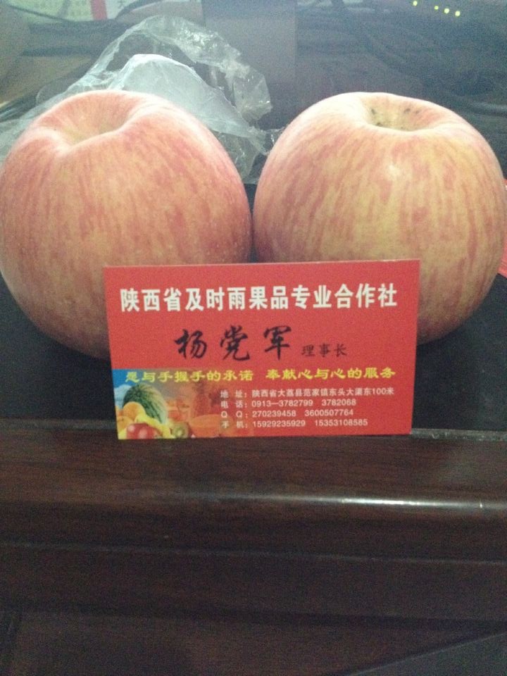 纸袋红富士苹果价格，陕西红富士苹果价格，水晶红富士苹果批发。  红富士苹果产地
