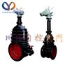 电动法兰闸阀DZ945TY-1.6电动法兰铸铁闸阀上海闸阀厂