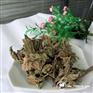 芳香药草罗勒叶批发