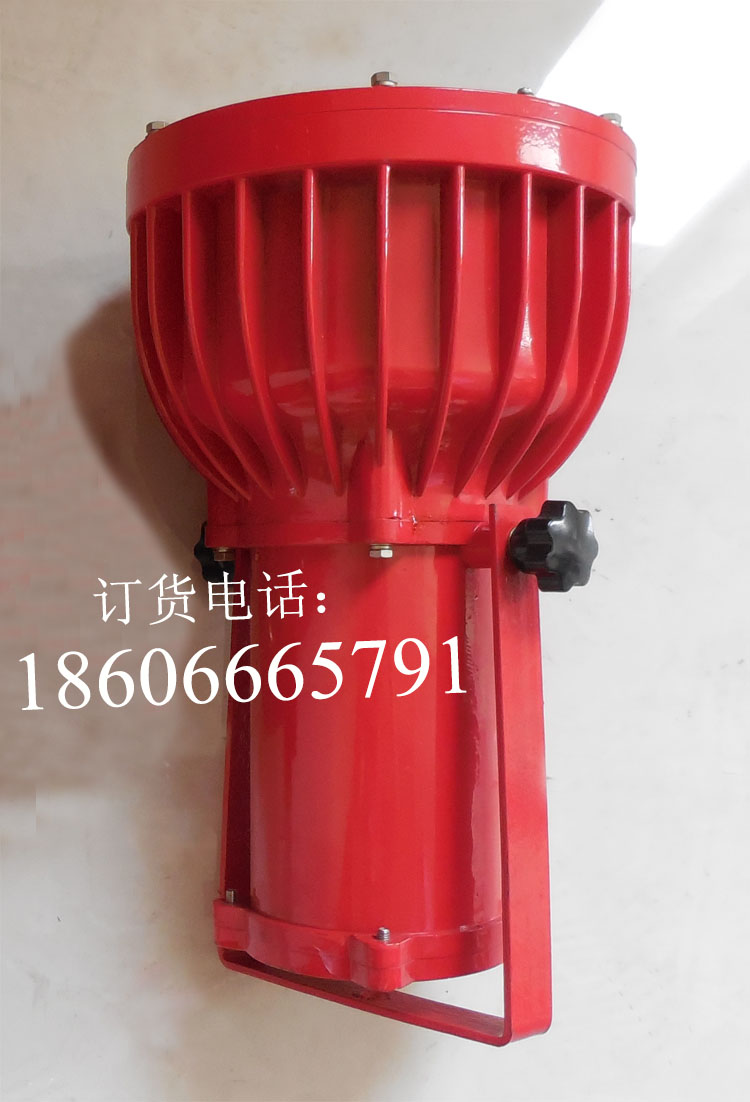 DGS50/127L(A)巨鼎投光灯  50W投光灯  隔爆型投光灯  LED投光灯