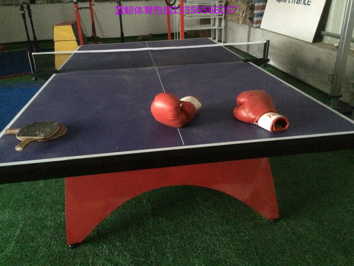 大彩虹乒乓球桌厂子室内高档乒乓球台批发