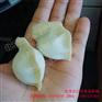 北京全自动小型仿手工饺子机厂家直销