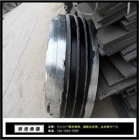前进渡槽专用止水带 钢边橡胶止水带400*8网上销售大惠场