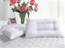 山西实用的枕芯品牌——价格合理的枕芯