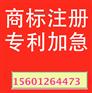 阆中市商标续展温州商标注册水果肉商标查询