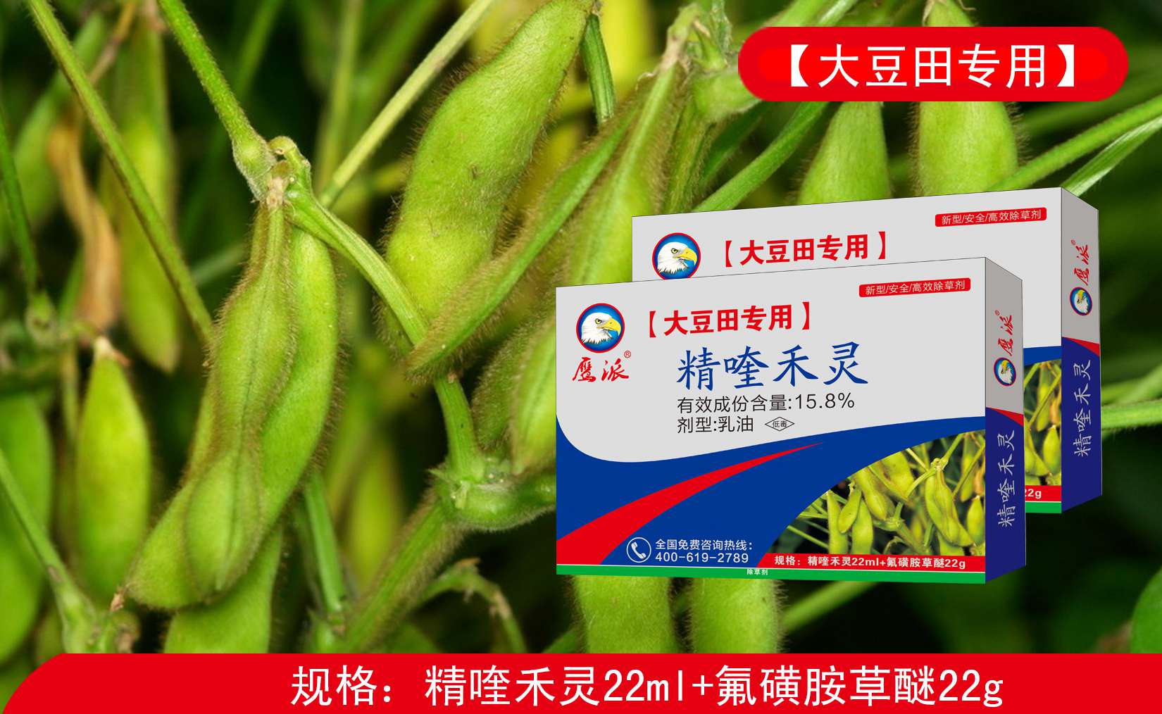 精喹禾灵生产厂家-精喹禾灵供应商