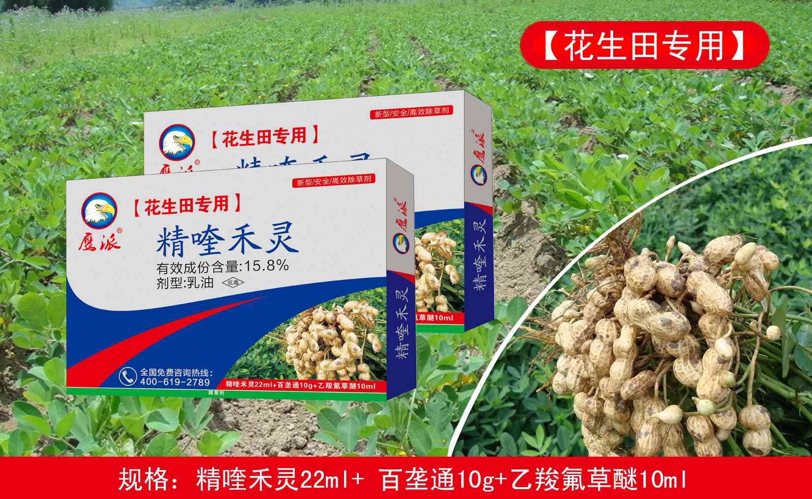 精喹禾灵生产厂家-精喹禾灵供应商