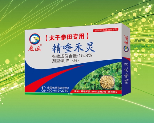 太子参田专用除草剂|精喹禾灵厂家&nbsp;&nbsp;太子参专用除草剂