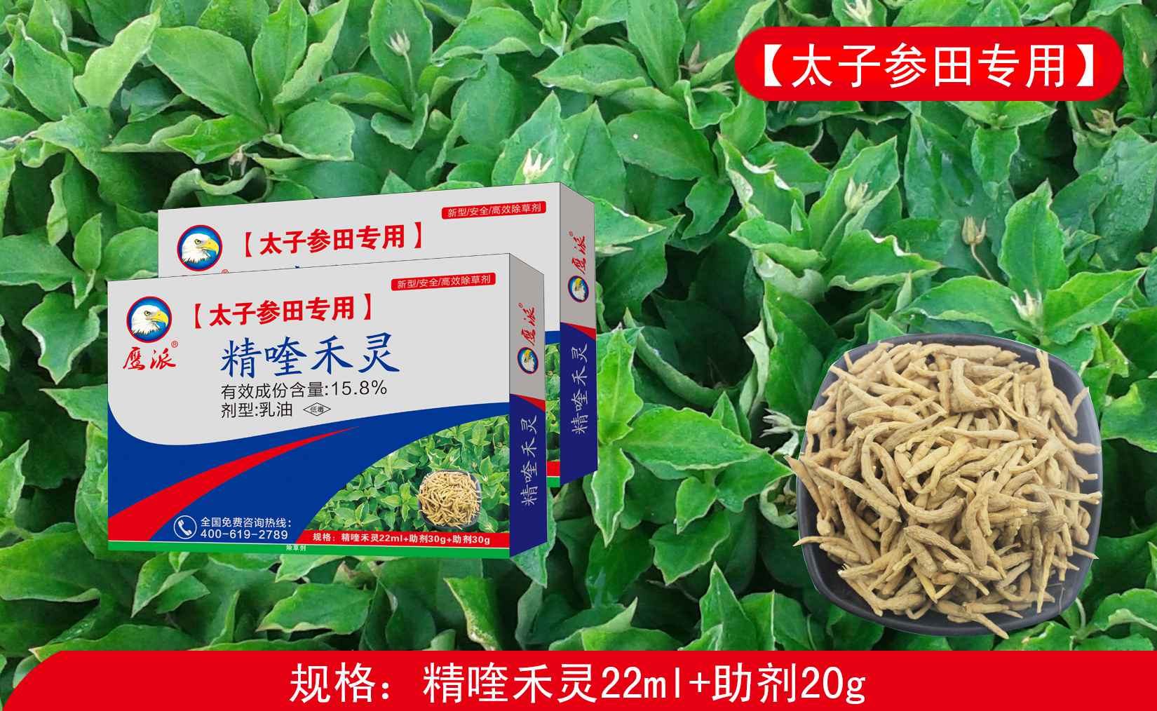 太子参田专用除草剂|精喹禾灵厂家&nbsp;&nbsp;太子参专用除草剂