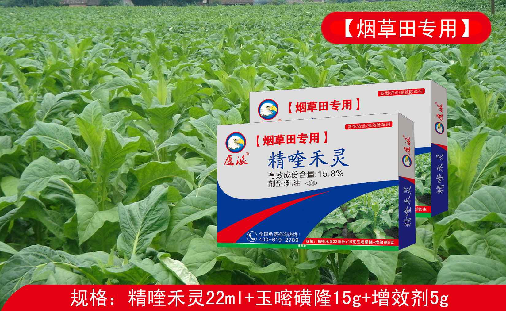 烟草田专用除草剂|精喹禾灵除草剂厂家&nbsp;&nbsp;精喹禾灵厂家