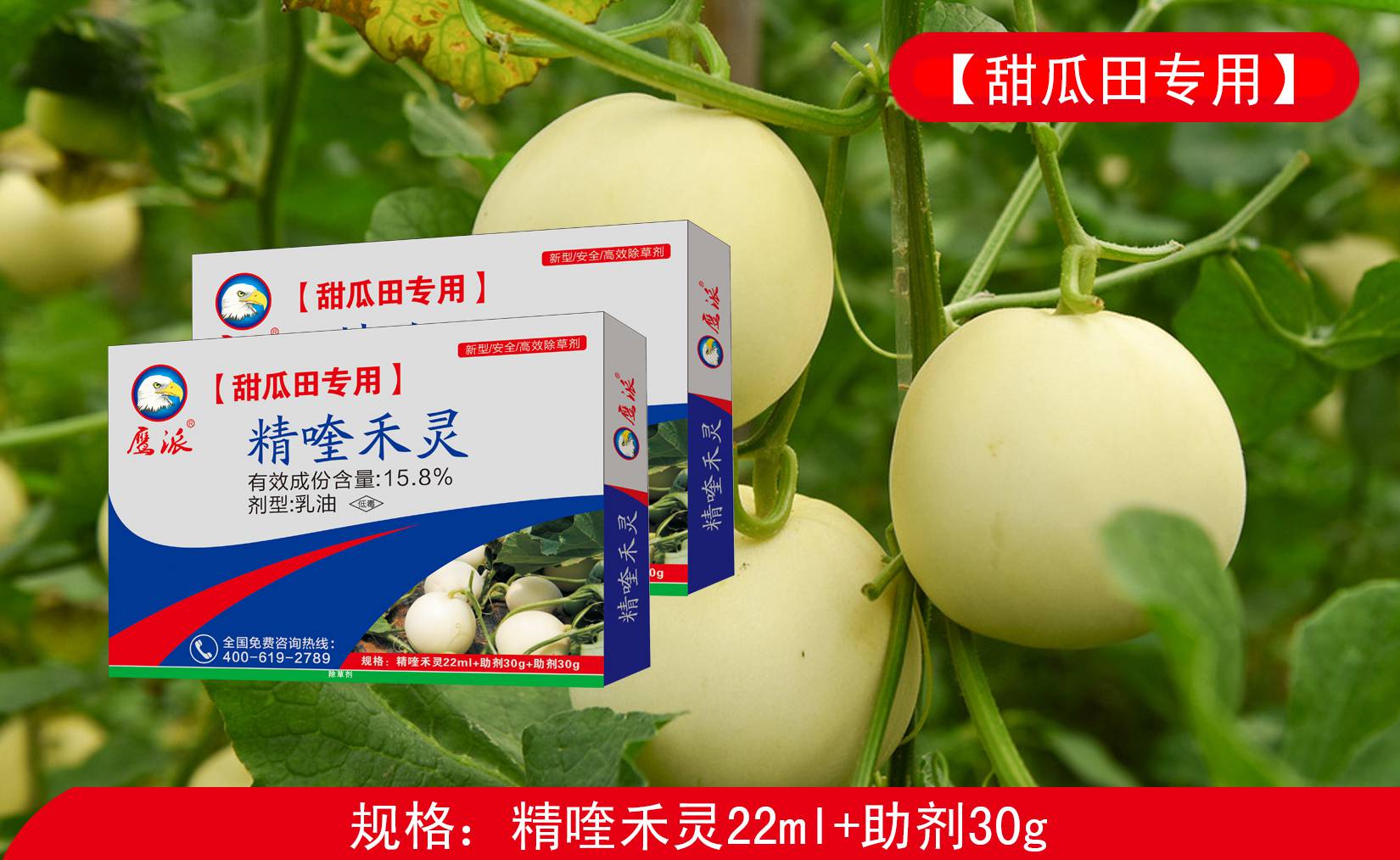 甜瓜专用除草剂|精喹禾灵厂家