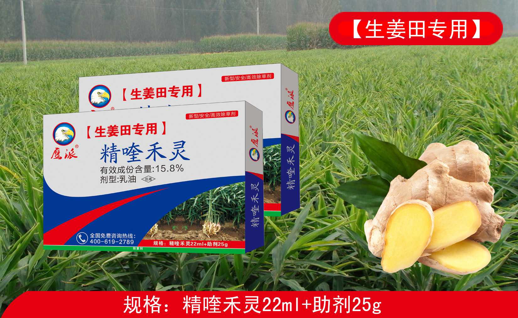 生姜田专用除草剂|精喹禾灵除草剂厂家&nbsp;&nbsp;精喹禾灵厂家