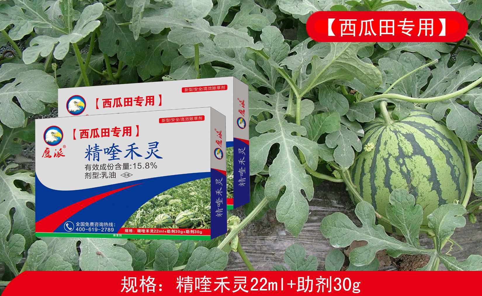 西瓜田专用除草剂|精喹禾灵除草剂