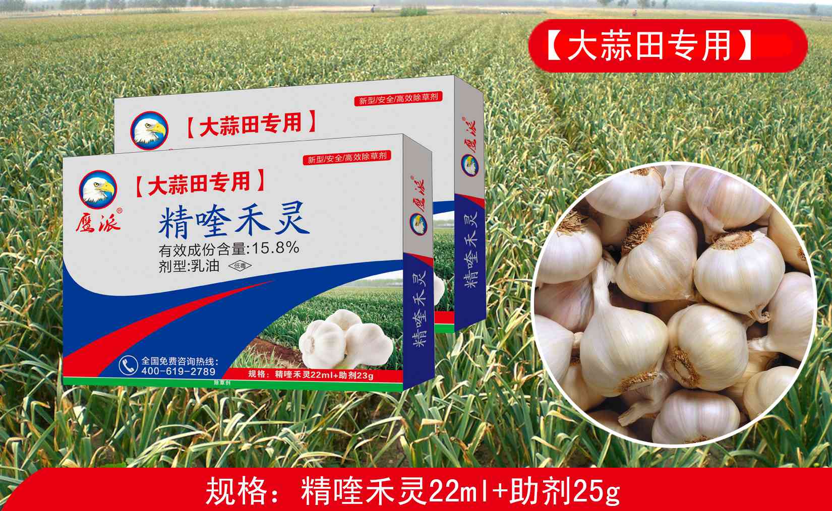 大蒜田专用除草剂|精喹禾灵除草剂厂家&nbsp;&nbsp;精喹禾灵厂家