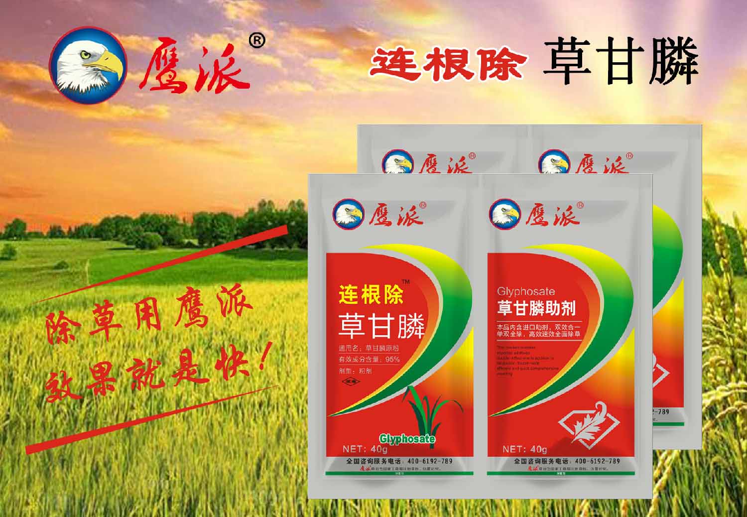 连根除草甘膦批发厂家