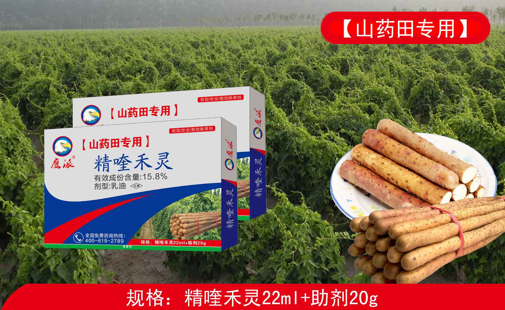 山药田专用除草剂|精喹禾灵除草剂