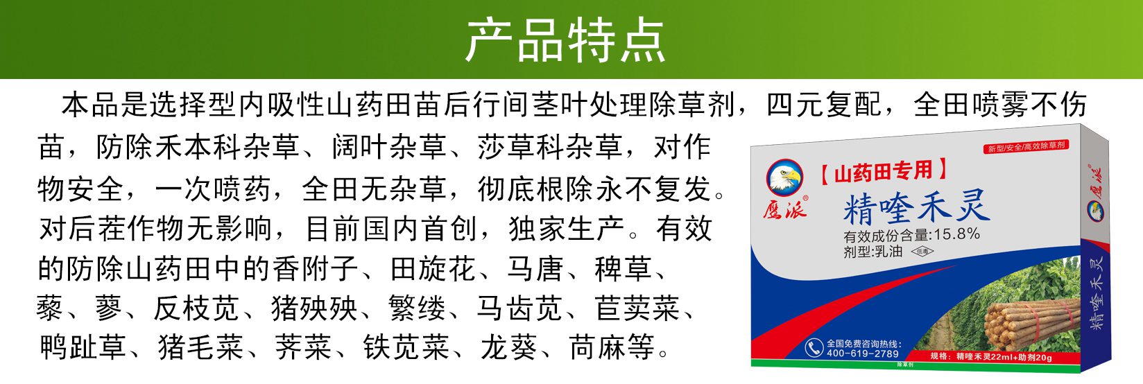 山药田专用除草剂|精喹禾灵除草剂