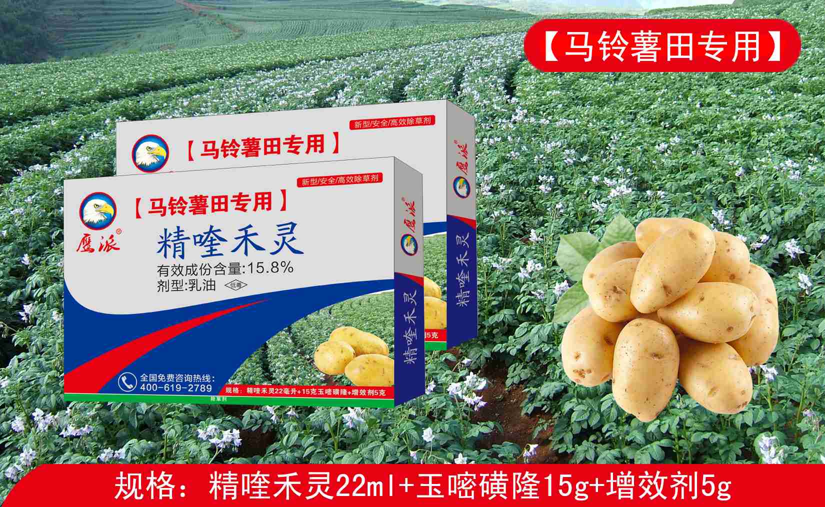 甘肃土豆专用除草剂|精喹禾灵&nbsp;&nbsp;甘肃精喹禾灵