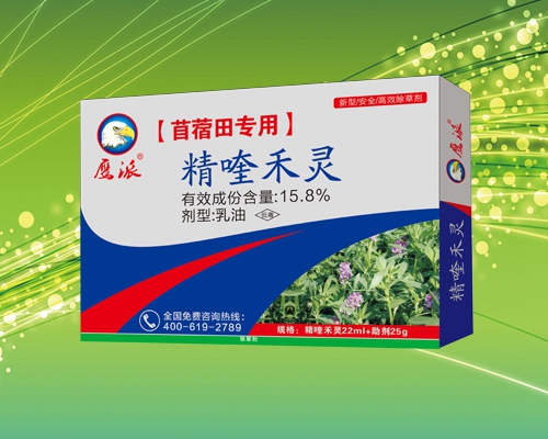 苜蓿田专用除草剂|精喹禾灵除草剂