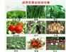 云南盐津县42%威百亩土壤熏蒸剂经销商展会