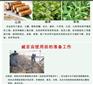 云南永善县42%威百亩杀草灭菌剂批发促销